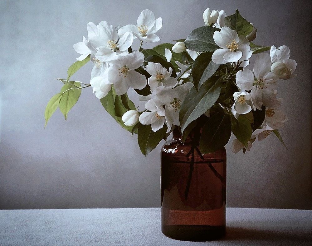 Яблоневый букет на сером.