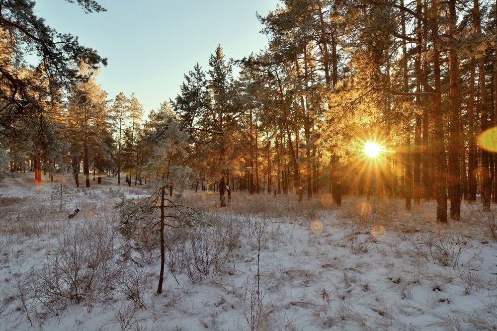 Солнце заблудилось.