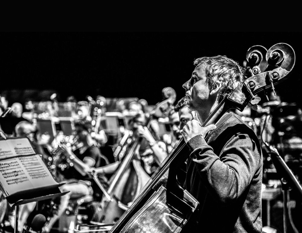 shadows of musicians