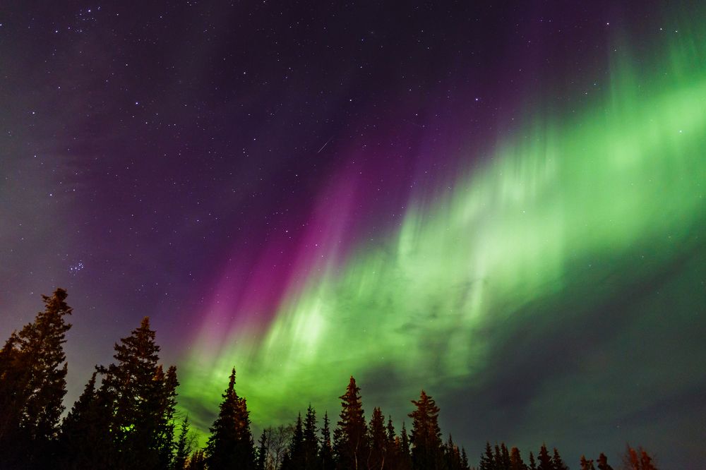 Ночные сказки