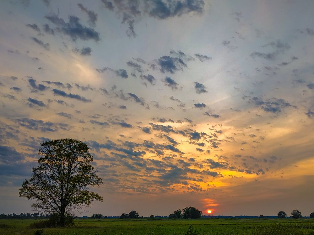 Первый вечер осени