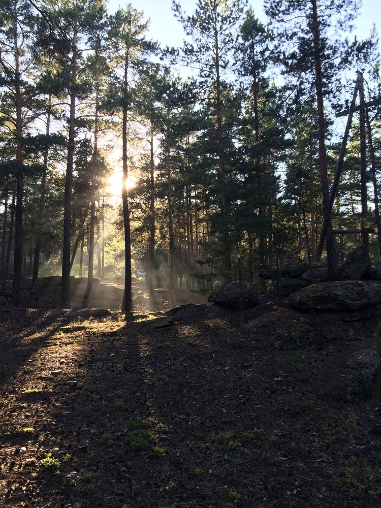 Photograph by Меруерт