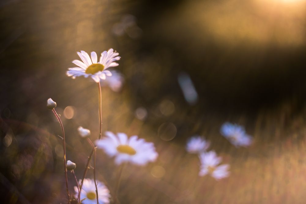 Photograph by Наталья Путято