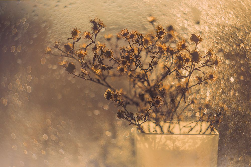 Photograph by Екатерина Науменко