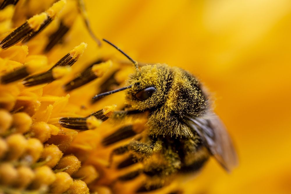 Без выходных...