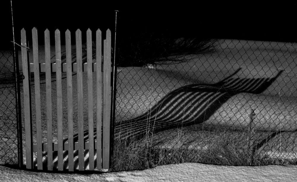 Горизонт событий