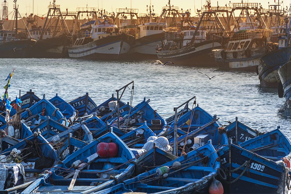 Противостояние