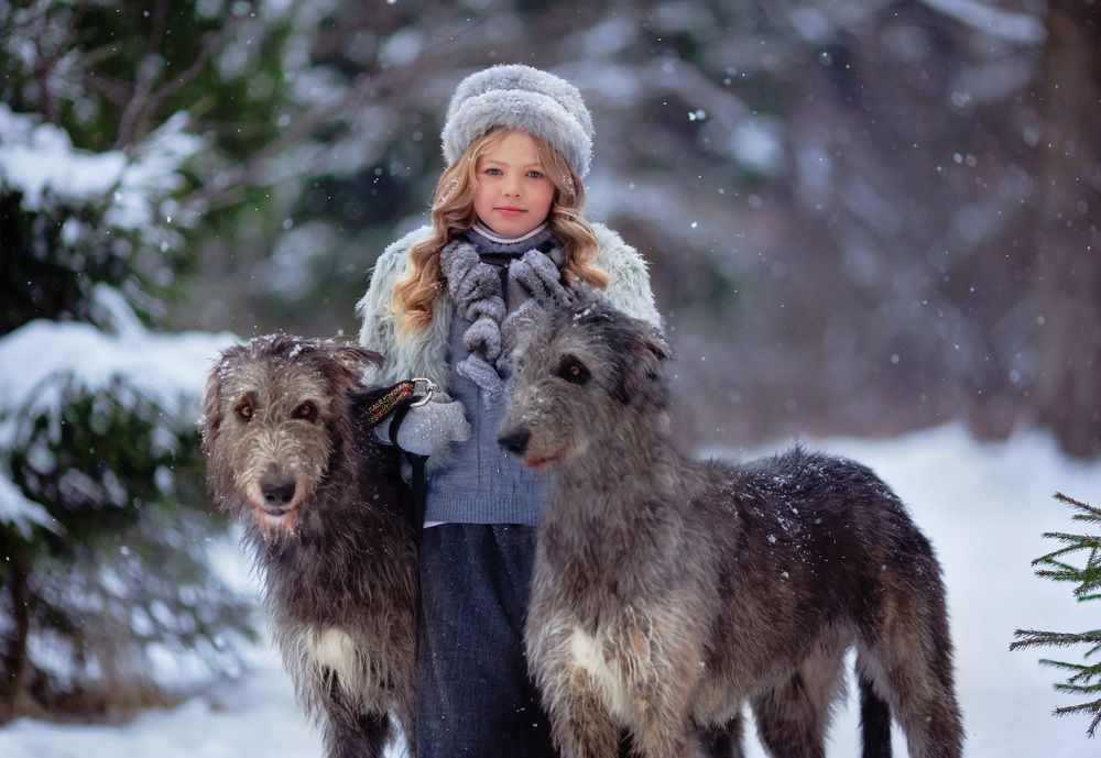 Photograph by Мария Демидова