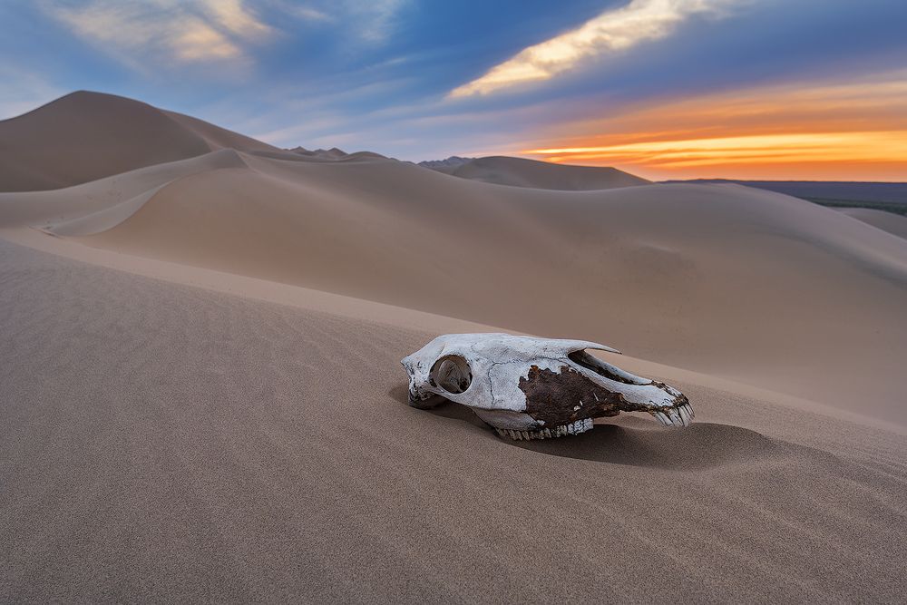 Закат в песках