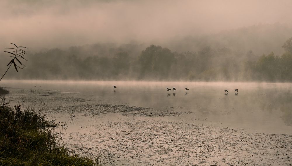 Скоро зима...