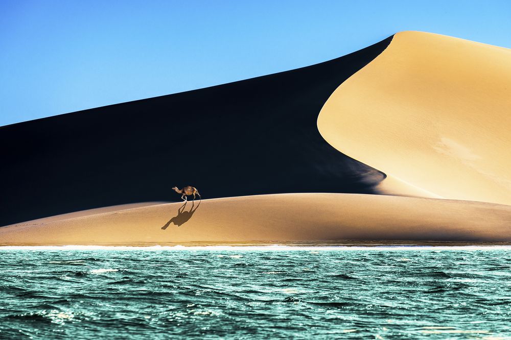 Facing the desert to the sea