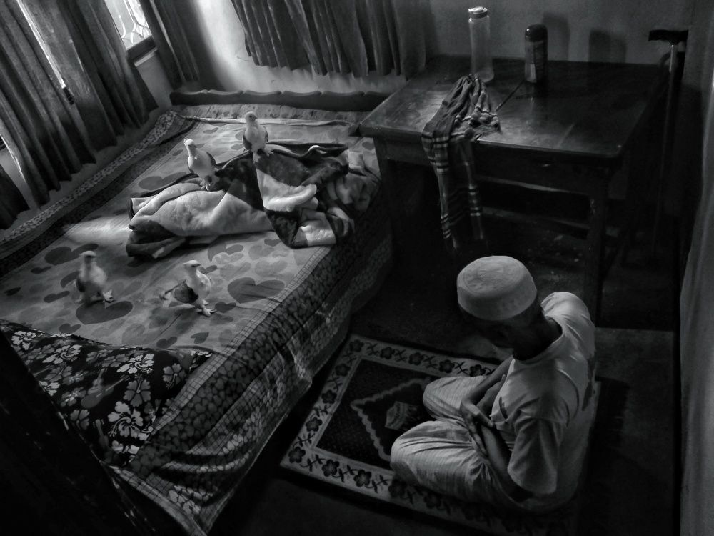 Prayer with Bird