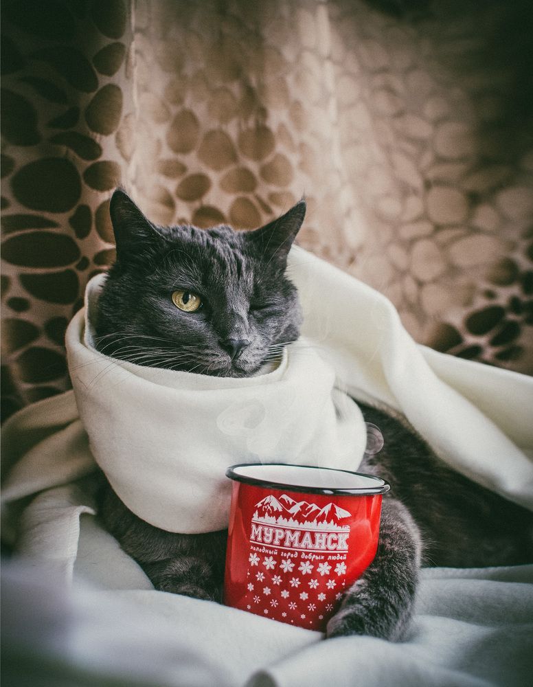 Удовольствие