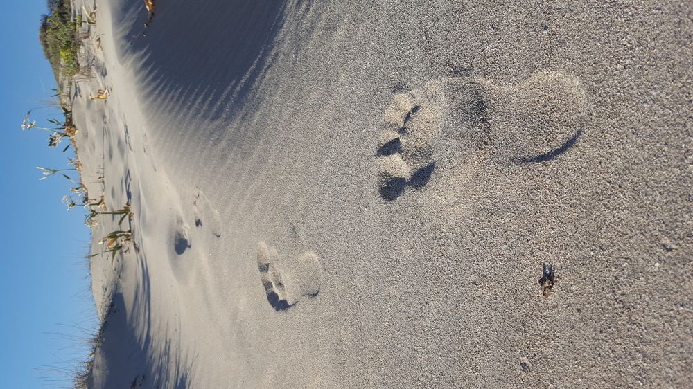 Follow me...