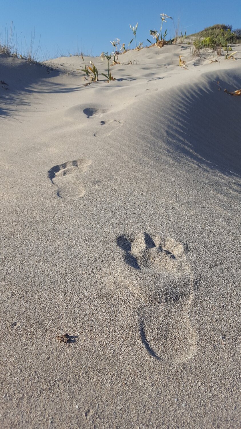 Follow me...