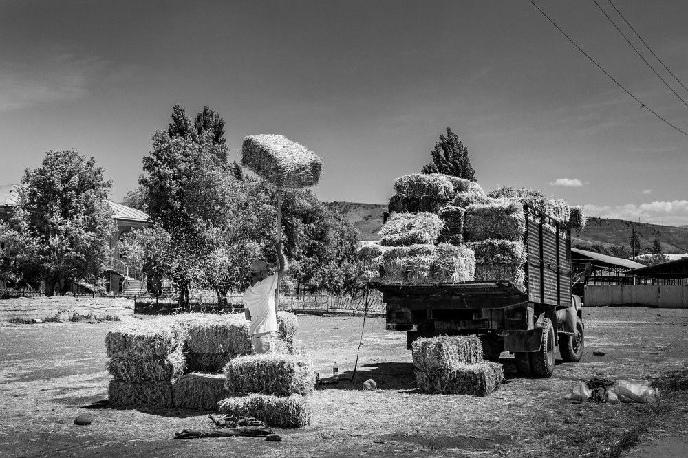 Photograph by Andrew Mikhaylov