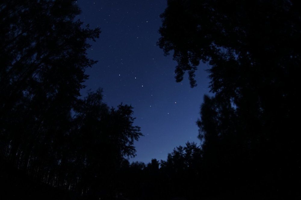 Photograph by Анна Лисейцева