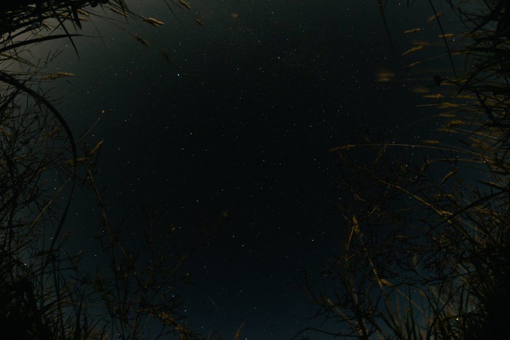 Photograph by Анна Лисейцева