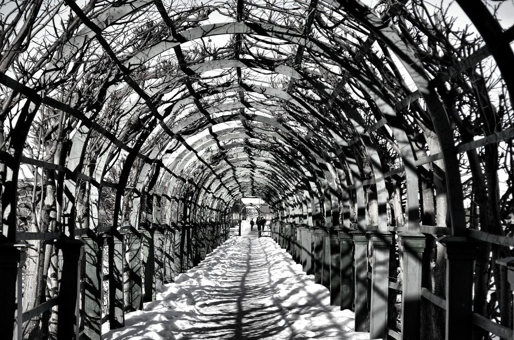 Photograph by Елена Боржковская