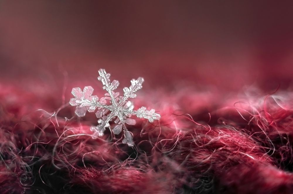 Совершенство форм