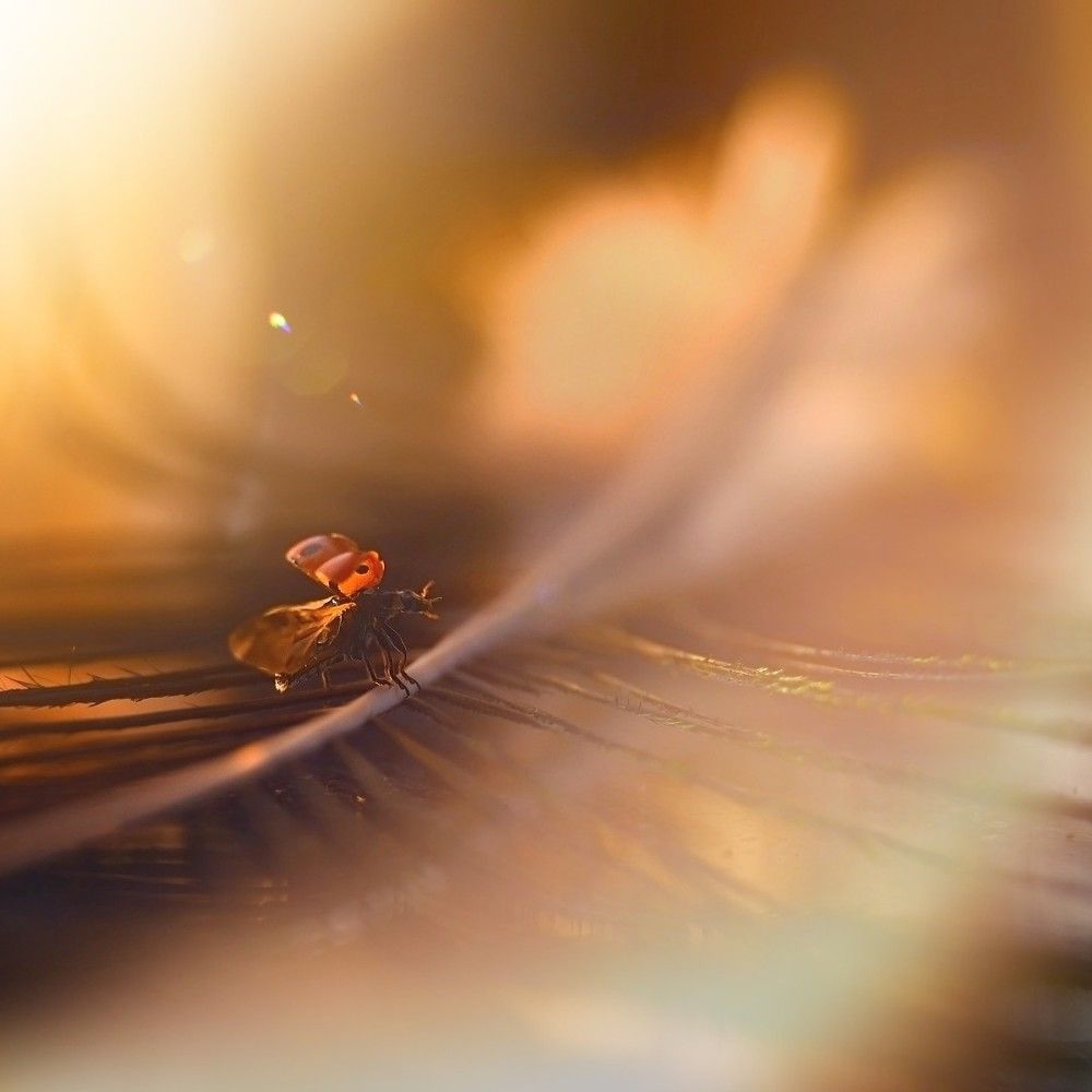 Трепетный момент взлета