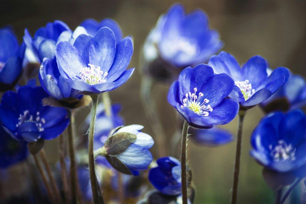 Photograph by Анна Лисейцева