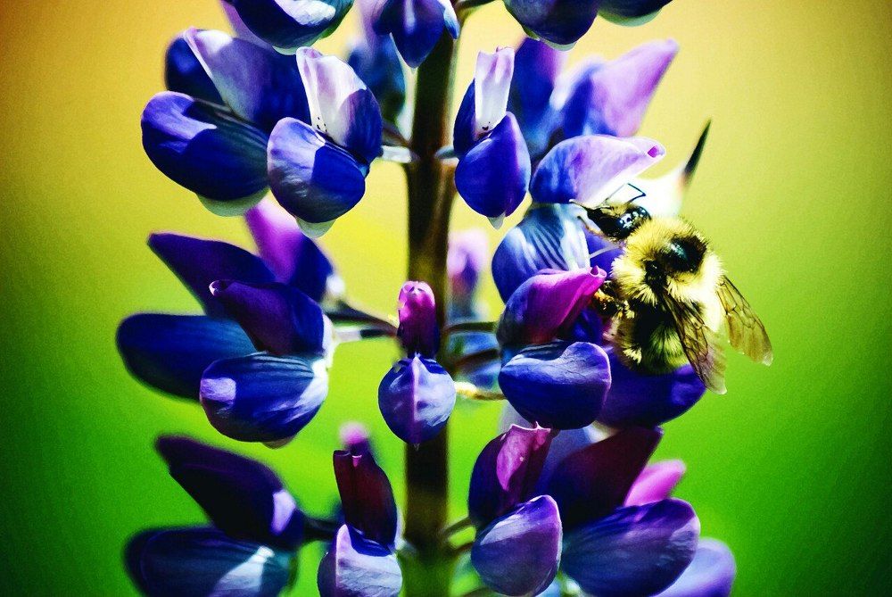 Photograph by Анна Лисейцева