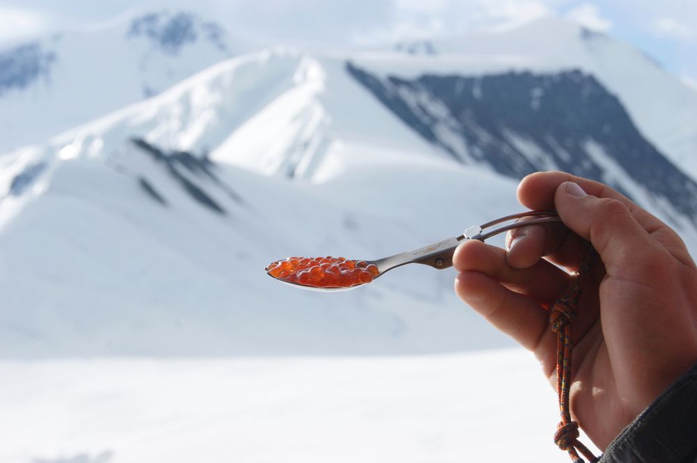 Красная икра