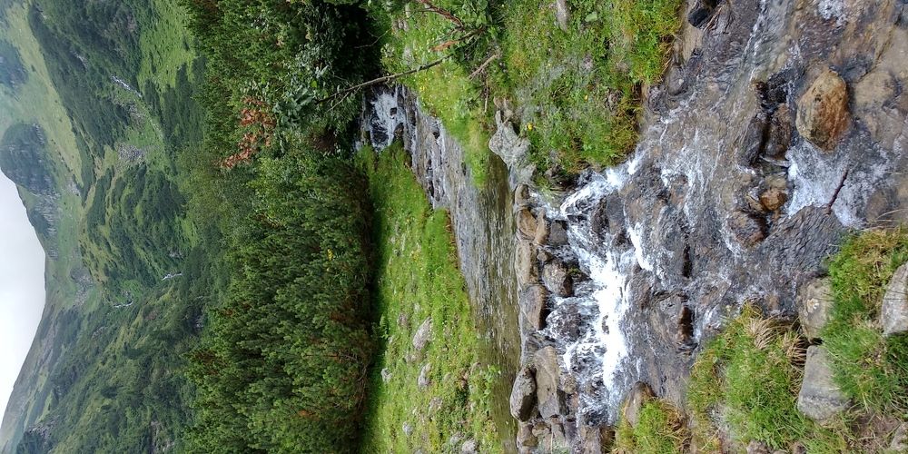 Горный ручей в карпатских горах