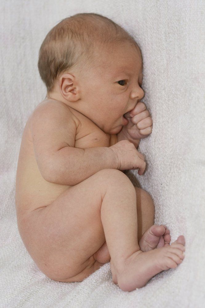 Фотография автора ТАРАСОВ ЕВГЕНИЙ