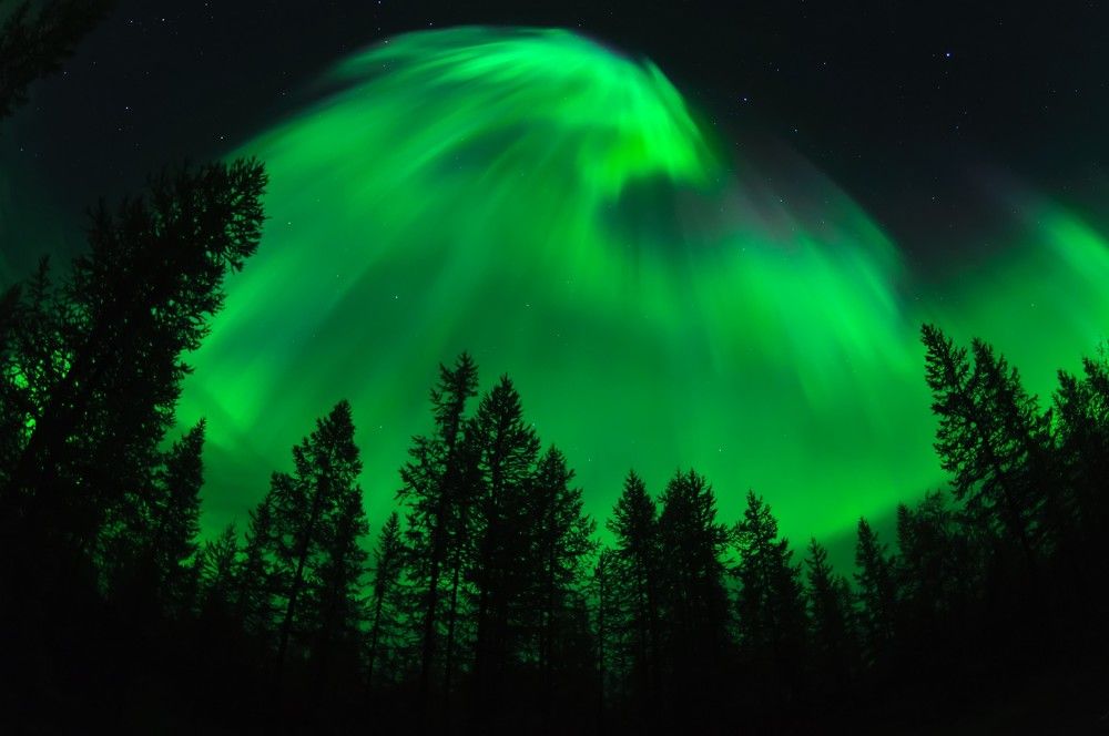 Photograph by Виктор Куликов