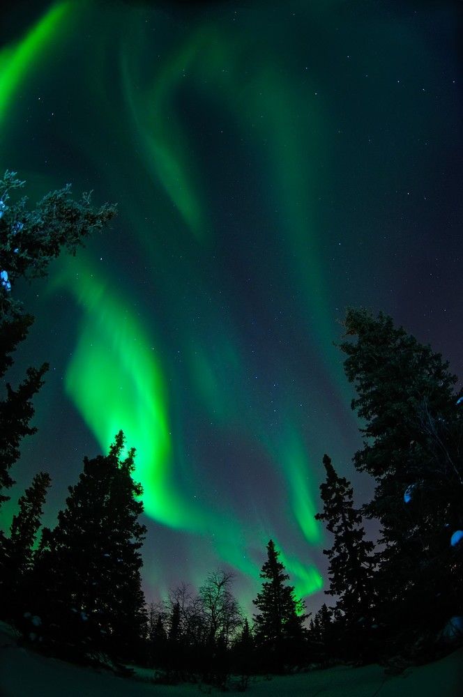 Photograph by Виктор Куликов