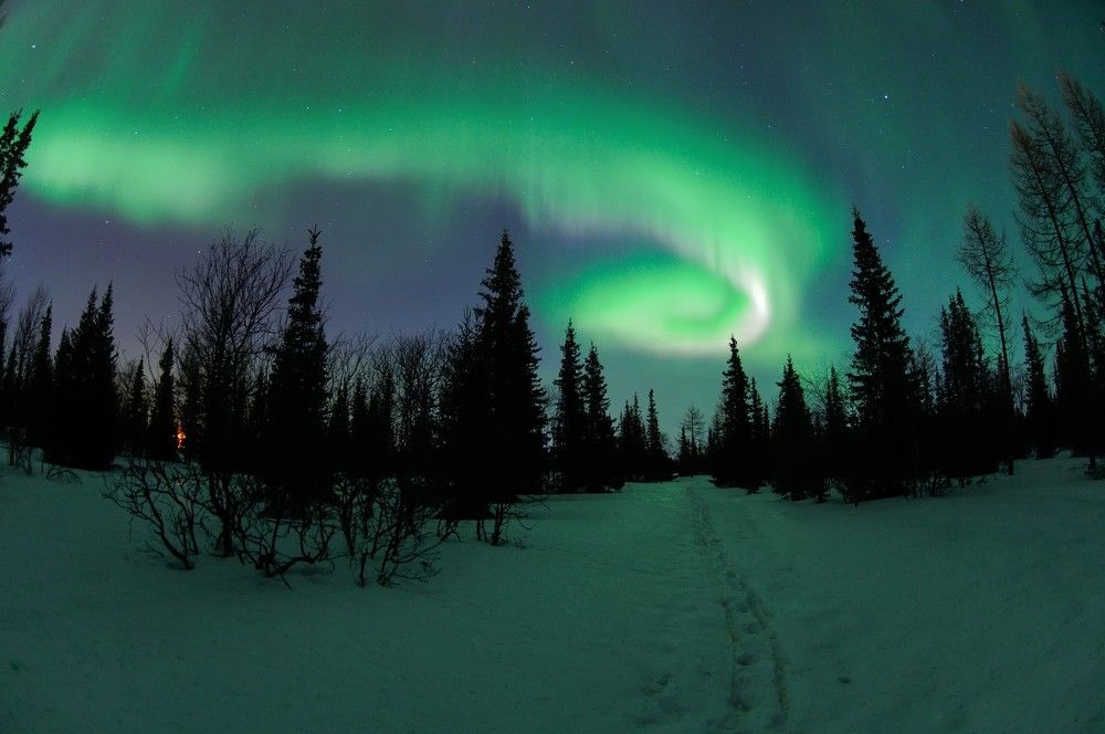 Photograph by Виктор Куликов