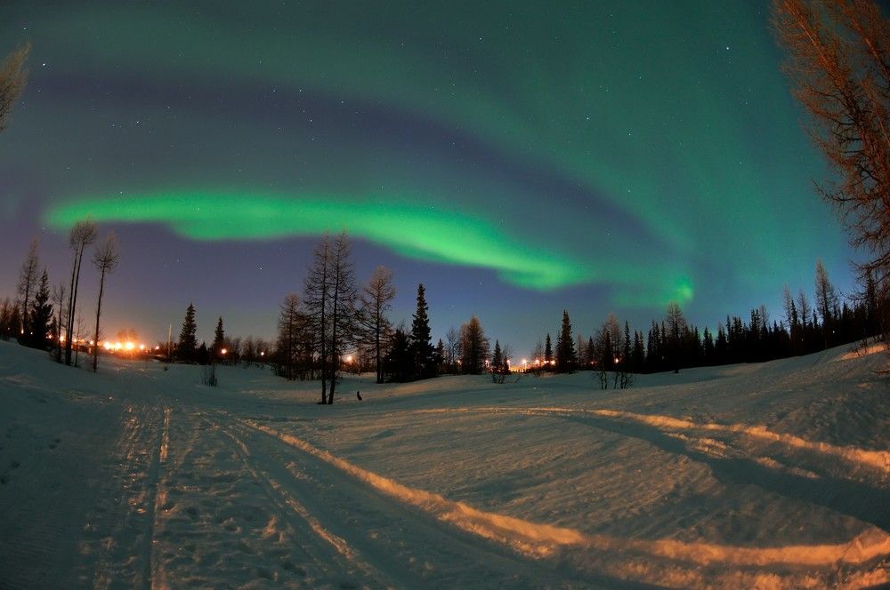 Photograph by Виктор Куликов