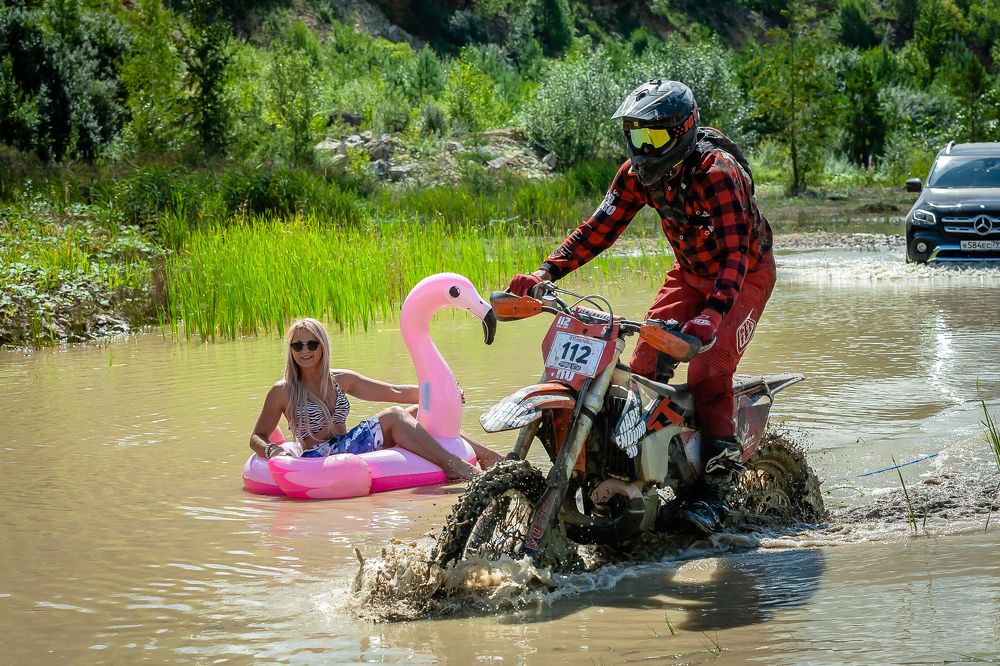 Розовый фламинго