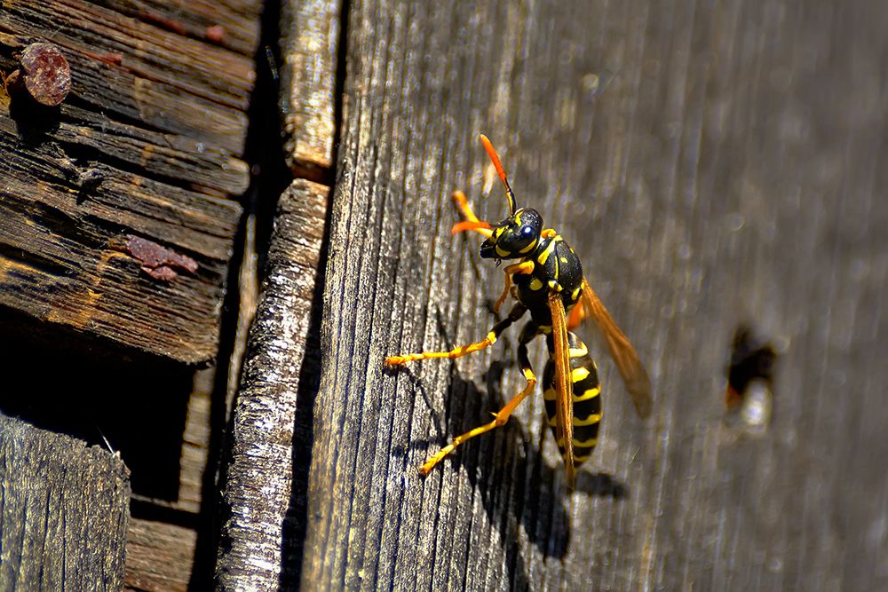 Фотография автора Игорь Иванов