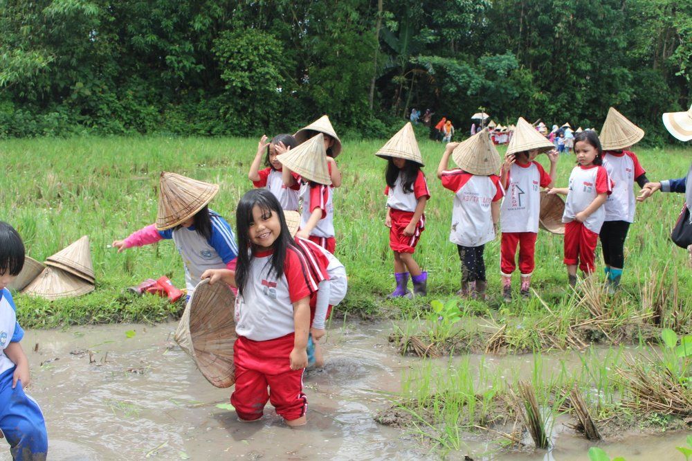 introduction of agricultural environment