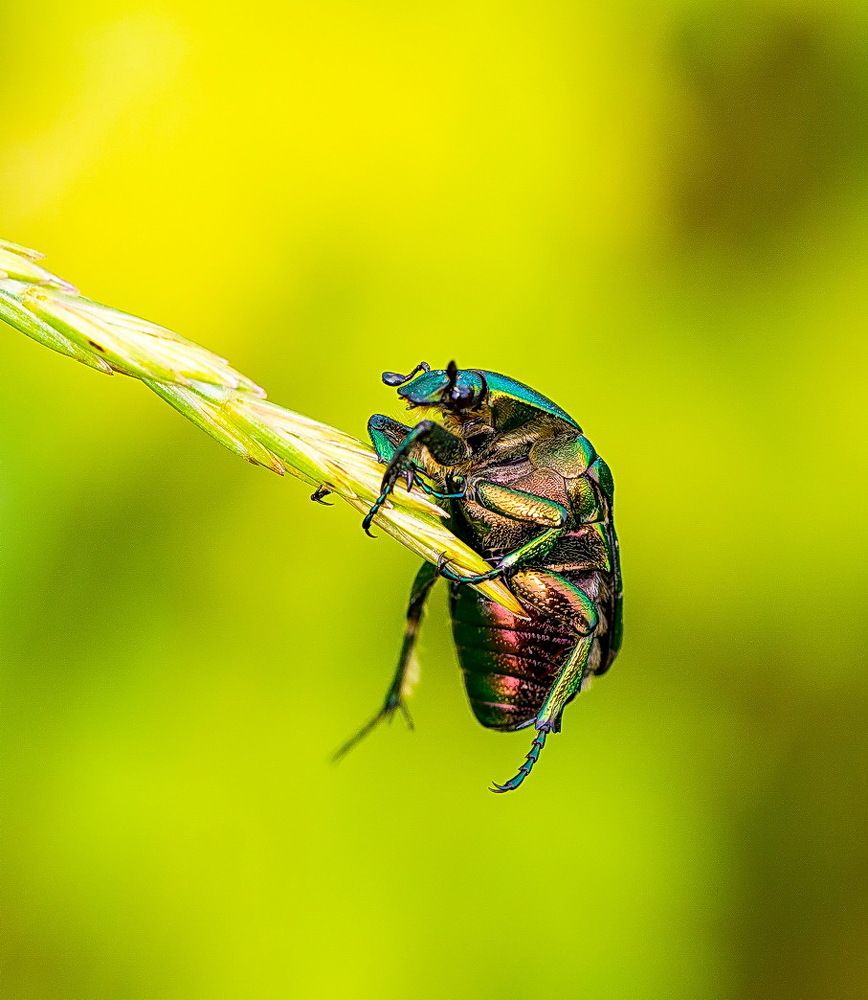 А что дальше?..