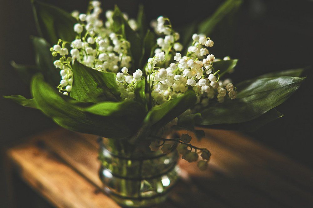 Меланхолия