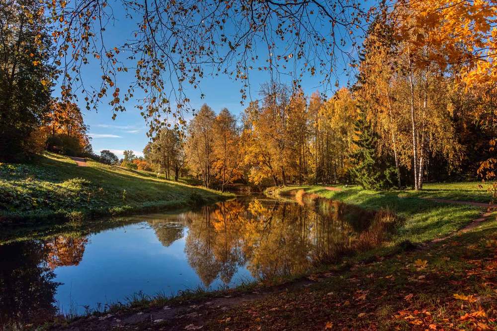 Яркие краски осени