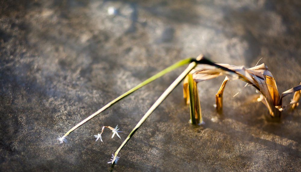 Photograph by Андрей Скобелев