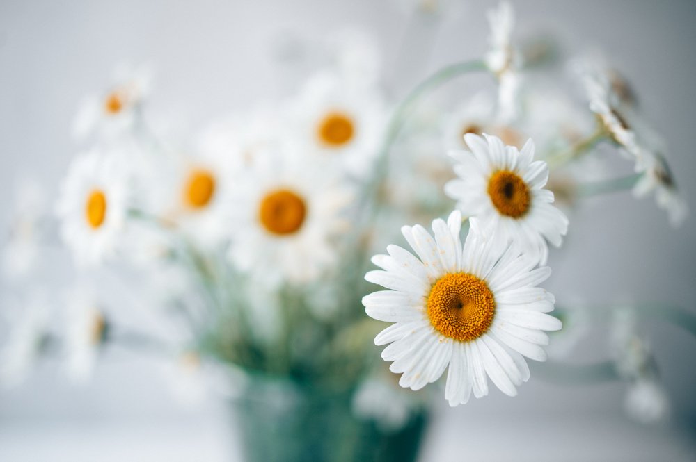 Photograph by Екатерина Корчик