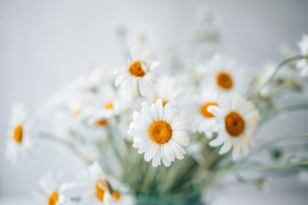 Photograph by Екатерина Корчик