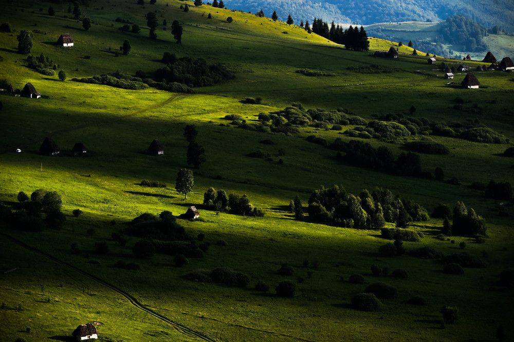 Landscape at Zapodie