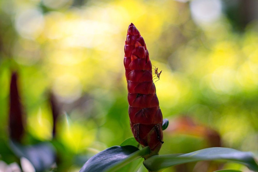 Пикантный момент