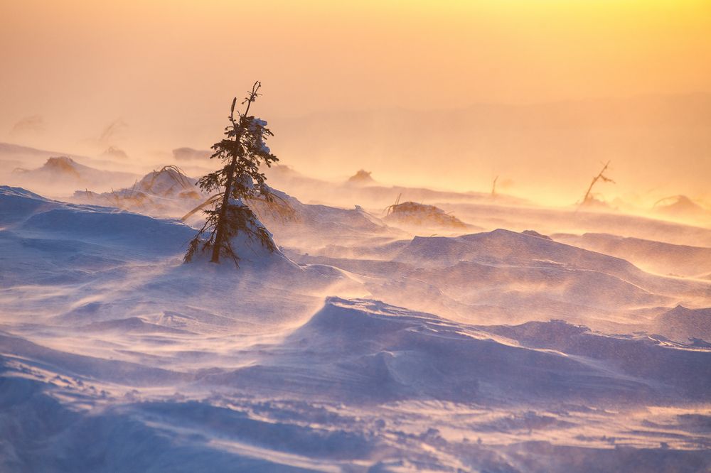 один в поле воин