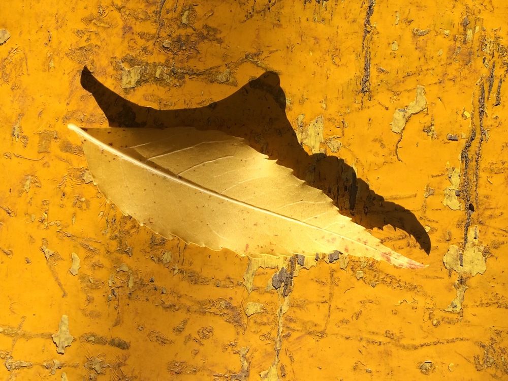 Осенний кораблик