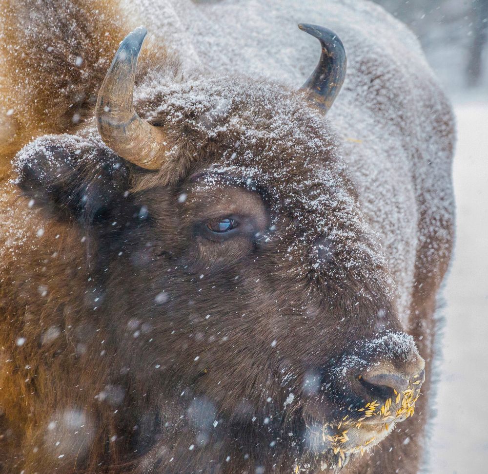 Не из пугливых.