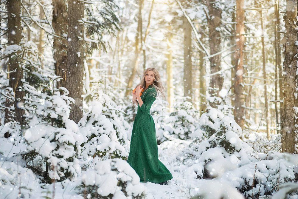 Новогодняя сказка