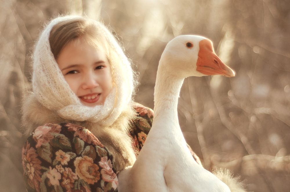 С гусем
